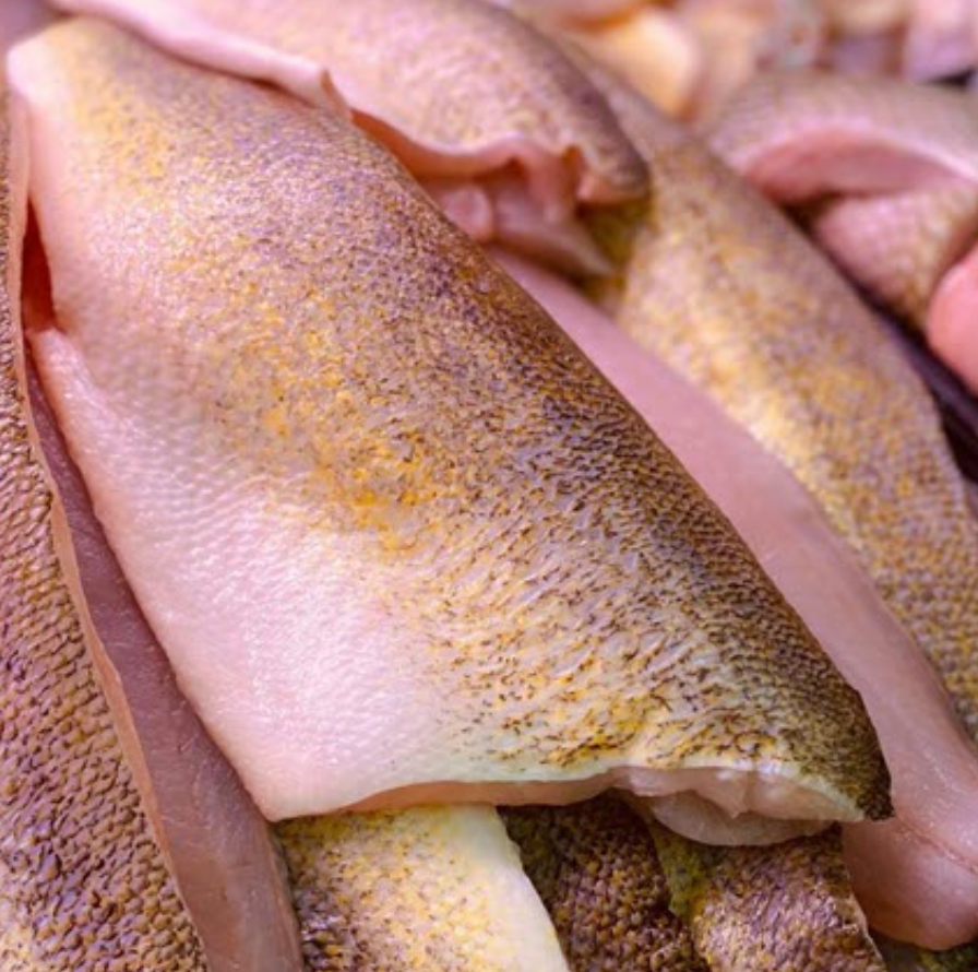 Pickerel Fillet